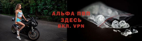 стаф Тихорецк